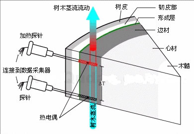 莖流（液流）測(cè)量系統(tǒng)
