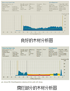 IML-RESI PD系列木質檢測儀