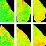 PlantScreen高通量植物表型成像分析系統(tǒng)（野外版）