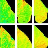 PlantScreen高通量植物表型成像分析系統（自動傳送版）