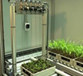 PlantScreen高通量植物表型成像分析系統（自動傳送版）