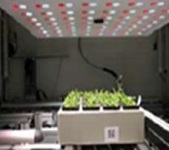 PlantScreen高通量植物表型成像分析系統（自動傳送版）