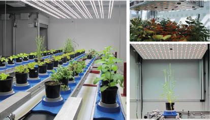 PlantScreen高通量植物表型成像分析系統(XYZ三維成像版) PlantScreen高通量植物表型成像分析系統(XYZ三維成像版)