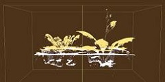 PlantScreen高通量植物表型成像分析系統（XYZ三維成像版）