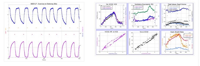 BBB1LP呼吸測量儀（O2+CO2）