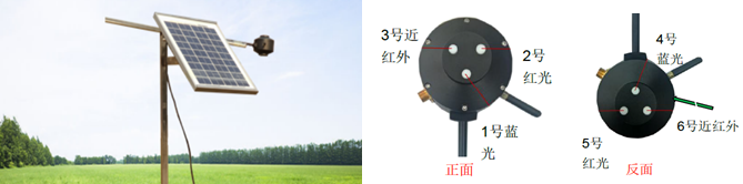 植被指數儀