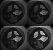 blob.png