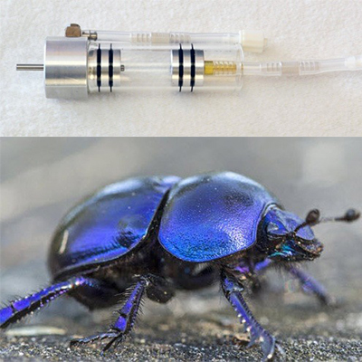 昆蟲動物呼吸作用測量系統