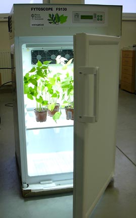 植物生長(zhǎng)箱 植物生長(zhǎng)箱