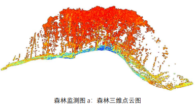 森林監測